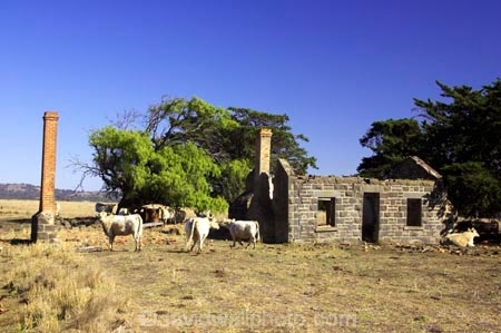 abandon;abandoned;agricultural;agriculture;ararat;australasia;australia;australian;castaway;cattle;character;chimney;cottage;cottages;country;countryside;cow;cows;derelict;dereliction;deserted;desolate;desolation;destruction;farm;farming;farmland;farms;field;fields;house;houses;meadow;meadows;neglect;neglected;old;old-fashioned;old_fashioned;paddock;paddocks;pasture;pastures;run-down;rural;rustic;stone;victoria;vintage
