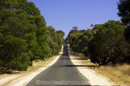 australasia;australia;australian;beaufort;country;countryside;driving;eucalypt;eucalypts;eucalyptus;eucalytis;gum;gum-tree;gum-trees;gums;highway;highways;open-road;open-roads;road;road-trip;roads;rural;straight;straights;transport;transportation;travel;traveling;travelling;tree;trees;trip;victoria