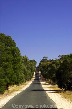 australasia;australia;australian;beaufort;country;countryside;driving;eucalypt;eucalypts;eucalyptus;eucalytis;gum;gum-tree;gum-trees;gums;highway;highways;open-road;open-roads;road;road-trip;roads;rural;straight;straights;transport;transportation;travel;traveling;travelling;tree;trees;trip;victoria
