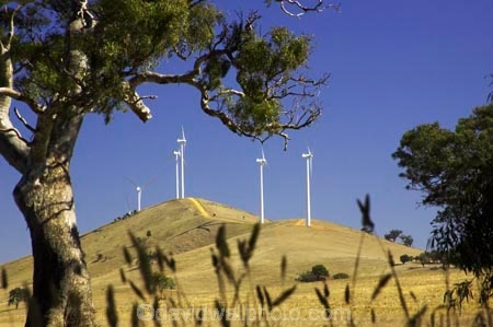 aerogenerator;aerogenerators;agricultural;agriculture;australasia;australia;australian;beaufort;country;countryside;dynamo;eucalypt;eucalypts;eucalyptus;eucalytis;farm;farming;farmland;farms;field;fields;generation;generators;gum;gum-tree;gum-trees;gums;meadow;meadows;paddock;paddocks;pasture;pastures;power-generation;power-generator;power-generators;rural;sustainable-energy;sustainable-generation;tree;trees;victoria;wind-energy;wind-farm;wind-farms;wind-generation;wind-generator;wind-generators;wind-turbine;wind-turbines;windmill;windmills