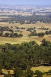 agricultural;agriculture;ararat;australasia;australia;australian;country;countryside;crop;crops;eucalypt;eucalypts;eucalyptus;eucalytis;farm;farming;farmland;farms;field;fields;gum;gum-tree;gum-trees;gums;horticulture;meadow;meadows;paddock;paddocks;pasture;pastures;rural;tree;trees;victoria