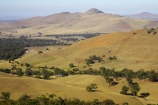 agricultural;agriculture;ararat;australasia;australia;australian;country;countryside;crop;crops;eucalypt;eucalypts;eucalyptus;eucalytis;farm;farming;farmland;farms;field;fields;gum;gum-tree;gum-trees;gums;horticulture;meadow;meadows;paddock;paddocks;pasture;pastures;rural;tree;trees;victoria