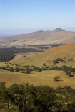 agricultural;agriculture;ararat;australasia;australia;australian;country;countryside;crop;crops;eucalypt;eucalypts;eucalyptus;eucalytis;farm;farming;farmland;farms;field;fields;gum;gum-tree;gum-trees;gums;horticulture;meadow;meadows;paddock;paddocks;pasture;pastures;rural;tree;trees;victoria
