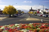 ararat;australasia;australia;australian;autumn;bloom;blooms;color;colors;colour;colours;country-town;country-towns;fall;flower;flower-garden;flower-gardens;flowers;garden;gardens;lilac;main-street;pink;purple;road;roads;roundabout;roundabouts;rural-town;rural-towns;steeple;steeples;street;streets;town;towns;victoria;violet;white;wide-street