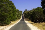 australasia;australia;australian;beaufort;country;countryside;driving;eucalypt;eucalypts;eucalyptus;eucalytis;gum;gum-tree;gum-trees;gums;highway;highways;open-road;open-roads;road;road-trip;roads;rural;straight;straights;transport;transportation;travel;traveling;travelling;tree;trees;trip;victoria