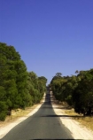 australasia;australia;australian;beaufort;country;countryside;driving;eucalypt;eucalypts;eucalyptus;eucalytis;gum;gum-tree;gum-trees;gums;highway;highways;open-road;open-roads;road;road-trip;roads;rural;straight;straights;transport;transportation;travel;traveling;travelling;tree;trees;trip;victoria