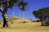 aerogenerator;aerogenerators;agricultural;agriculture;australasia;australia;australian;beaufort;country;countryside;dynamo;eucalypt;eucalypts;eucalyptus;eucalytis;farm;farming;farmland;farms;field;fields;generation;generators;gum;gum-tree;gum-trees;gums;meadow;meadows;paddock;paddocks;pasture;pastures;power-generation;power-generator;power-generators;rural;sustainable-energy;sustainable-generation;tree;trees;victoria;wind-energy;wind-farm;wind-farms;wind-generation;wind-generator;wind-generators;wind-turbine;wind-turbines;windmill;windmills