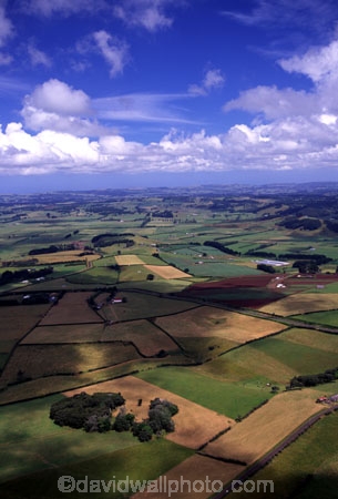 aerial;aerials;agricultural;agriculture;auckland;crop;cropping;crops;farm;farming;farmland-near-pukekohe;field;fields;new-zealand;north-island;nz;paddock;paddocks;pukekohe