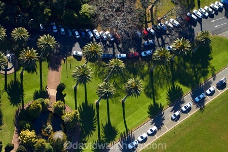 aerial;aerial-image;aerial-images;aerial-photo;aerial-photograph;aerial-photographs;aerial-photography;aerial-photos;aerial-view;aerial-views;aerials;Auckland;Auckland-Domain;Auckland-region;N.I.;N.Z.;New-Zealand;NI;North-Is;North-Island;NZ;palm;palm-tree;palm-trees;palms