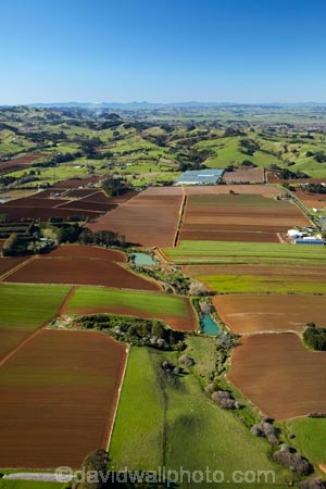 aerial;aerial-image;aerial-images;aerial-photo;aerial-photograph;aerial-photographs;aerial-photography;aerial-photos;aerial-view;aerial-views;aerials;agricultural;agriculture;ark_brown-Granular-soil;ark_brown-Granular-soils;Auckland;Auckland-region;country;countryside;crop;crops;farm;farming;farmland;farms;fertile;fertile-soil;field;fields;horticulture;market-garden;market-gardens;meadow;meadows;N.I.;N.Z.;New-Zealand;NI;North-Is;North-Island;NZ;paddock;paddocks;pasture;pastures;Pukekohe;Pukekohe-red-soil;Pukekohe-red-soils;Pukekohe-soil;Pukekohe-soils;rd-soilds;red-soil;rural;soil;South-Auckland;vegetable-garden;vegetable-gardens