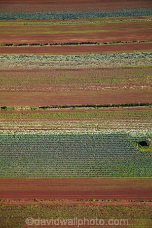 aerial;aerial-image;aerial-images;aerial-photo;aerial-photograph;aerial-photographs;aerial-photography;aerial-photos;aerial-view;aerial-views;aerials;agricultural;agriculture;Auckland;Auckland-region;country;countryside;crop;crops;dark_brown-Granular-soil;dark_brown-Granular-soils;farm;farming;farmland;farms;fertile;fertile-soil;field;fields;horticulture;market-garden;market-gardens;meadow;meadows;N.I.;N.Z.;New-Zealand;NI;North-Is;North-Island;NZ;paddock;paddocks;pasture;pastures;Pukekohe-red-soil;Pukekohe-red-soils;Pukekohe-soil;Pukekohe-soils;rd-soilds;red-soil;rural;soil;South-Auckland;vegetable-garden;vegetable-gardens