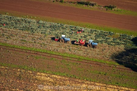 aerial;aerial-image;aerial-images;aerial-photo;aerial-photograph;aerial-photographs;aerial-photography;aerial-photos;aerial-view;aerial-views;aerials;agricultural;agriculture;Auckland;Auckland-region;country;countryside;crop;crops;dark_brown-Granular-soil;dark_brown-Granular-soils;farm;farming;farmland;farms;fertile;fertile-soil;field;fields;horticulture;market-garden;market-gardens;meadow;meadows;N.I.;N.Z.;New-Zealand;NI;North-Is;North-Island;NZ;paddock;paddocks;pasture;pastures;picker;pickers;Pukekohe-red-soil;Pukekohe-red-soils;Pukekohe-soil;Pukekohe-soils;rd-soilds;red-soil;rural;soil;South-Auckland;tractor;tractors;vegetable-garden;vegetable-gardens