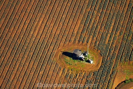 aerial;aerial-image;aerial-images;aerial-photo;aerial-photograph;aerial-photographs;aerial-photography;aerial-photos;aerial-view;aerial-views;aerials;agricultural;agriculture;Auckland;Auckland-region;country;countryside;crop;crops;dark_brown-Granular-soil;dark_brown-Granular-soils;farm;farming;farmland;farms;fertile;fertile-soil;field;fields;horticulture;market-garden;market-gardens;meadow;meadows;N.I.;N.Z.;New-Zealand;NI;North-Is;North-Island;NZ;paddock;paddocks;pasture;pastures;Pukekohe-red-soil;Pukekohe-red-soils;Pukekohe-soil;Pukekohe-soils;rd-soilds;red-soil;rural;soil;South-Auckland;vegetable-garden;vegetable-gardens