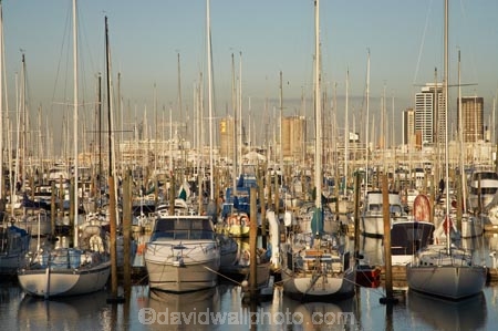 Auckland;Auckland-Marina;boat;boats;city;City-of-Sails;cityscape;cityscapes;harbor;harbors;harbour;harbours;hull;hulls;launch;launches;marina;marinas;mast;masts;moored;mooring;N.I.;N.Z.;New-Zealand;NI;North-Island;NZ;Queen-City;sail;sailing;Waitemata-Harbor;Waitemata-Harbour;Westhaven-Marina;yacht;yachts