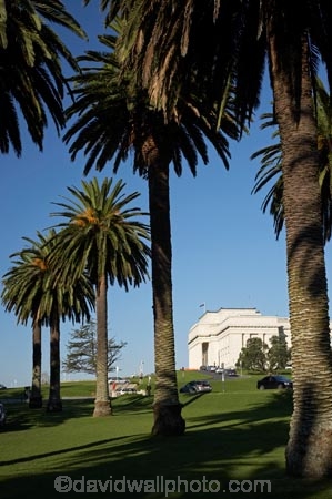 architecture;Auckland;Auckland-Domain;Auckland-Museum;Auckland-War-Memorial-Museum;building;buildings;heritage;historic;historic-building;historic-buildings;historical;historical-building;historical-buildings;history;museum;museums;N.I.;N.Z.;New-Zealand;NI;North-Island;NZ;old;palm;palm-tree;palm-trees;palms;tradition;traditional;tree;trees