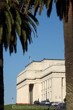 architecture;Auckland;Auckland-Domain;Auckland-Museum;Auckland-War-Memorial-Museum;building;buildings;heritage;historic;historic-building;historic-buildings;historical;historical-building;historical-buildings;history;museum;museums;N.I.;N.Z.;New-Zealand;NI;North-Island;NZ;old;palm;palm-tree;palm-trees;palms;tradition;traditional;tree;trees