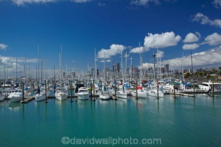 Auckland;Auckland-Marina;boat;boats;building;buildings;c.b.d.;cbd;central-business-district;cities;city;City-of-Sails;cityscape;cityscapes;down-town;downtown;harbor;harbors;harbour;harbours;high;high-rise;high-rises;high_rise;high_rises;highrise;highrises;hull;hulls;launch;launches;marina;marinas;mast;masts;moored;mooring;multi_storey;multi_storied;multistorey;multistoried;N.I.;N.Z.;New-Zealand;NI;North-Is.;North-Island;Nth-Is;NZ;office;office-block;office-blocks;offices;port;ports;Queen-City;sail;sailing;sky-scraper;sky-scrapers;Sky-Tower;sky_scraper;sky_scrapers;Sky_tower;Skycity;skyscraper;skyscrapers;Skytower;tall;tower;tower-block;tower-blocks;towers;viewing-tower;viewing-towers;Waitemata-Harbor;Waitemata-Harbour;Westhaven-Marina;yacht;yachts