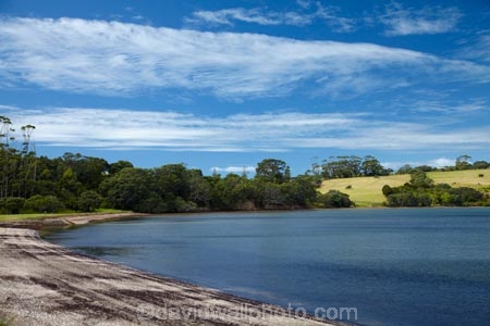 Auckland;bay;bays;coast;coastal;coastline;coastlines;coasts;Hauraki-Gulf;Hibiscus-Coast;N.Z.;New-Zealand;North-Auckland;North-Is.;North-Island;Nth-Is;NZ;Okoromai-Bay;Regional-Park;Rodney-District;sea;seas;Shakespear;Shakespeare;shore;shoreline;shorelines;shores;water;Whangaparaoa-Peninsula