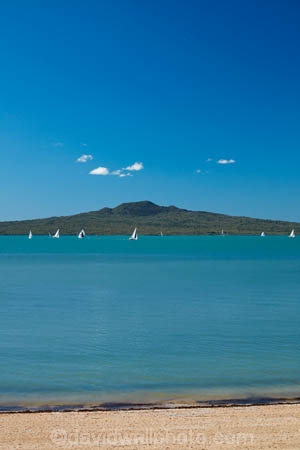 Auckland;beach;beaches;Cheltenham-Beach;Devonport;Hauraki-Gulf;N.I.;N.Z.;New-Zealand;NI;North-Auckland;North-Head;North-Is;North-Island;North-Shore;Nth-Is;NZ;Rangitoto-Is;Rangitoto-Island;sail-boat;sail-boats;sailboat;sailboats;volcanic;volcanic-cone;volcanic-cones;volcano;volcanoes;yacht;yachts