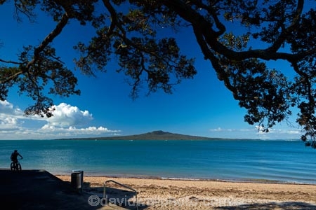 Auckland;beach;beaches;bicycle;bicycles;bike;bikes;Cheltenham-Beach;cycle;cycler;cyclers;cycles;cyclist;cyclists;Devonport;Hauraki-Gulf;mountain-bike;mountain-biker;mountain-bikers;mountain-bikes;mtn-bike;mtn-biker;mtn-bikers;mtn-bikes;N.I.;N.Z.;New-Zealand;NI;North-Auckland;North-Head;North-Is;North-Island;North-Shore;Nth-Is;NZ;pohutukawa-tree;pohutukawa-trees;push-bike;push-bikes;push_bike;push_bikes;pushbike;pushbikes;Rangitoto-Is;Rangitoto-Island;volcanic;volcanic-cone;volcanic-cones;volcano;volcanoes