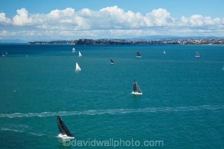 Auckland;Devonport;Hauraki-Gulf;N.I.;N.Z.;New-Zealand;NI;North-Auckland;North-Head;North-Is;North-Island;North-Shore;Nth-Is;NZ;sail-boat;sail-boats;sailboat;sailboats;sailing;Waitemata-Harbor;Waitemata-Harbour;yacht;yachts