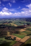 aerial;aerials;agricultural;agriculture;auckland;crop;cropping;crops;farm;farming;farmland-near-pukekohe;field;fields;new-zealand;north-island;nz;paddock;paddocks;pukekohe