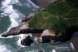 colonies;nature;native;new-zealand;natural-history;coast;coastal;headland;sea;ocean;pacific;promontory;cliff;cliffs;bluff;bluffs