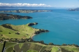aerial;aerial-photo;aerial-photography;aerial-photos;aerial-view;aerial-views;aerials;agricultural;agriculture;Auckland;bay;bays;coast;coastal;coastline;coastlines;coasts;country;countryside;crop;crops;cultivation;farm;farming;farmland;farms;field;fields;grape;grapes;grapevine;Hauraki-Gulf;horticulture;island;islands;N.I.;N.Z.;New-Zealand;NI;North-Island;NZ;ocean;row;rows;rural;sea;shore;shoreline;shorelines;shores;vine;vines;vineyard;vineyards;vintage;Waiheke-Is;Waiheke-Is.;Waiheke-Island;water;wine;wineries;winery;wines