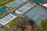 aerial;aerial-image;aerial-images;aerial-photo;aerial-photograph;aerial-photographs;aerial-photography;aerial-photos;aerial-view;aerial-views;aerials;Auckland;Auckland-region;glass-house;glass-houses;glass_house;glass_houses;glasshouse;glasshouses;green-house;green-houses;green_house;green_houses;greenhouse;greenhouses;growing-house;growing-houses;growing-shed;growing-sheds;hot-house;hot-houses;hot_house;hot_houses;hothouse;hothouses;Lyndale-Nurseries;Lyndale-Nursery;N.I.;N.Z.;New-Zealand;NI;North-Is;North-Island;nurseries;nursery;NZ;plant-nurseries;plant-nursery;Whenuapai