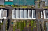 aerial;aerial-image;aerial-images;aerial-photo;aerial-photograph;aerial-photographs;aerial-photography;aerial-photos;aerial-view;aerial-views;aerials;Auckland;Auckland-region;glass-house;glass-houses;glass_house;glass_houses;glasshouse;glasshouses;green-house;green-houses;green_house;green_houses;greenhouse;greenhouses;growing-house;growing-houses;growing-shed;growing-sheds;hot-house;hot-houses;hot_house;hot_houses;hothouse;hothouses;Lyndale-Nurseries;Lyndale-Nursery;N.I.;N.Z.;New-Zealand;NI;North-Is;North-Island;nurseries;nursery;NZ;plant-nurseries;plant-nursery;Whenuapai