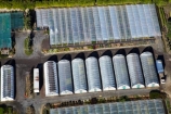 aerial;aerial-image;aerial-images;aerial-photo;aerial-photograph;aerial-photographs;aerial-photography;aerial-photos;aerial-view;aerial-views;aerials;Auckland;Auckland-region;glass-house;glass-houses;glass_house;glass_houses;glasshouse;glasshouses;green-house;green-houses;green_house;green_houses;greenhouse;greenhouses;growing-house;growing-houses;growing-shed;growing-sheds;hot-house;hot-houses;hot_house;hot_houses;hothouse;hothouses;Lyndale-Nurseries;Lyndale-Nursery;N.I.;N.Z.;New-Zealand;NI;North-Is;North-Island;nurseries;nursery;NZ;plant-nurseries;plant-nursery;Whenuapai