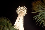 Auckland;building;buildings;cabbage-tree;cabbage-trees;dark;evening;flood-lighting;flood-lights;flood-lit;flood_lighting;flood_lights;flood_lit;floodlighting;floodlights;floodlit;high;light;lights;N.I.;N.Z.;New-Zealand;NI;night;night-time;night_time;North-Island;NZ;sky-scraper;Sky-Tower;sky_scraper;Sky_tower;Skycity;skyscraper;Skytower;tall;tower;towers;viewing-tower;viewing-towers