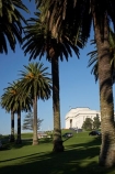 architecture;Auckland;Auckland-Domain;Auckland-Museum;Auckland-War-Memorial-Museum;building;buildings;heritage;historic;historic-building;historic-buildings;historical;historical-building;historical-buildings;history;museum;museums;N.I.;N.Z.;New-Zealand;NI;North-Island;NZ;old;palm;palm-tree;palm-trees;palms;tradition;traditional;tree;trees