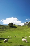 agricultural;agriculture;auckland;cornwall-park;farm;farming;farmland;farms;field;fields;grass;Maungakiekie;meadow;meadows;N.I.;n.z.;new-zealand;NI;north-island;nz;obelisk;one-tree-hill;one-tree-hill-domain;paddock;paddocks;pasture;pastures;sheep;stock;volcano;volcanoes