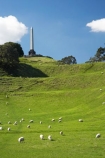 agricultural;agriculture;auckland;cornwall-park;farm;farming;farmland;farms;field;fields;grass;Maungakiekie;meadow;meadows;N.I.;n.z.;new-zealand;NI;north-island;nz;obelisk;one-tree-hill;one-tree-hill-domain;paddock;paddocks;pasture;pastures;sheep;stock;volcano;volcanoes