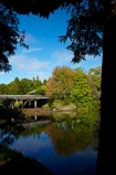 Auckland;Auckland-Region;autuminal;autumn;autumn-colour;autumn-colours;autumnal;calm;color;colors;colour;colours;deciduous;fall;leaf;leaves;Mahurangi-River;N.Z.;New-Zealand;North-Auckland;North-Is.;North-Island;Nth-Is;NZ;placid;quiet;reflected;reflection;reflections;river;rivers;season;seasonal;seasons;serene;smooth;still;tidal;tranquil;tree;trees;Warkworth;water