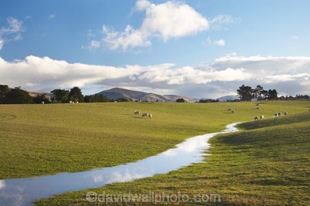 agricultural;agriculture;Animal;Animals;brook;brooks;calm;Clutha-District;Clutha-Region;country;countryside;creek;creeks;ewes;farm;Farm-animals;farming;farmland;farms;field;fields;flock;flocks;flooding;flow;herbivore;herbivores;herbivorous;livestock;mammal;mammals;meadow;meadows;N.Z.;New-Zealand;NZ;Outdoor;Outdoors;Outside;paddock;paddocks;pasture;pastures;placid;quiet;reflection;reflections;run_off;runoff;rural;S.I.;serene;sheep;SI;smooth;South-is;South-Island;South-Otago;still;stock;stream;streams;tranquil;Waiwera-South;water;wet;white;wool