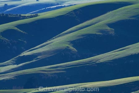 agricultural;agriculture;Clutha-District;country;countryside;farm;farming;farmland;farms;field;fields;grass;grassy;green;green-grass;meadow;meadows;N.Z.;New-Zealand;Otago;paddock;paddocks;pasture;pastures;rural;S.I.;SI;South-Is;South-Island;South-Otago;Sth-Is;Waitahuna