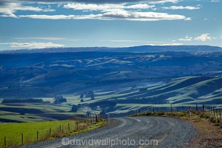 agricultural;agriculture;Clutha-District;country;countryside;farm;farming;farmland;farms;field;fields;grass;grassy;gravel-road;gravel-roads;green;green-grass;meadow;meadows;metal-road;metal-roads;metalled-road;metalled-roads;N.Z.;New-Zealand;Otago;paddock;paddocks;pasture;pastures;road;roads;rural;S.I.;SI;South-Is;South-Island;South-Otago;Sth-Is;unpaved-road;unpaved-roads;Waitahuna