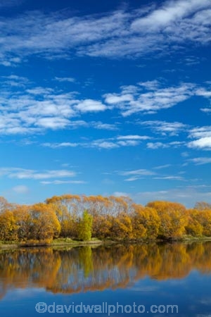 autuminal;autumn;Autumn-colour;autumn-colours;autumnal;Balclutha;blue;calm;Clutha-District;Clutha-River;Clutha-River-north-branch;color;colors;colour;colours;deciduous;fall;gold;golden;Inch-Clutha;Kaitangata;leaf;leaves;Mata_Au;Matau;N.Z.;New-Zealand;Northern-Branch-Clutha-River;NZ;Otago;placid;quiet;reflected;reflection;reflections;river;rivers;S.I.;season;seasonal;seasons;serene;SI;smooth;South-Is;South-Island;South-Otago;Sth-Is;still;tranquil;tree;trees;water;willow;willow-tree;willows;yellow