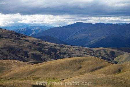 back-country;backcountry;Central-Otago;high-altitude;high-country;highcountry;highlands;N.Z.;New-Zealand;NZ;Otago;remote;remoteness;S.I.;SI;South-Island;tussock;tussock-grass;tussocks;uiplands;upland;uplands