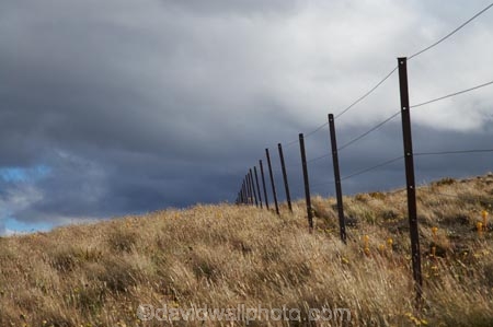 back-country;backcountry;black-cloud;black-clouds;Central-Otago;cloud;cloudy;dark-cloud;dark-clouds;fence;fence-line;fence-lines;fence_line;fence_lines;fenceline;fencelines;fences;grey-cloud;grey-clouds;high-altitude;high-country;highcountry;highlands;N.Z.;New-Zealand;NZ;Otago;rain-cloud;rain-clouds;remote;remoteness;S.I.;SI;South-Island;storm;storm-clouds;storms;stormy;tussock;tussock-grass;tussocks;uiplands;upland;uplands