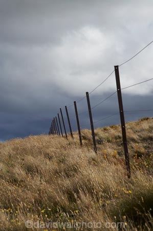 back-country;backcountry;black-cloud;black-clouds;Central-Otago;cloud;cloudy;dark-cloud;dark-clouds;fence;fence-line;fence-lines;fence_line;fence_lines;fenceline;fencelines;fences;grey-cloud;grey-clouds;high-altitude;high-country;highcountry;highlands;N.Z.;New-Zealand;NZ;Otago;rain-cloud;rain-clouds;remote;remoteness;S.I.;SI;South-Island;storm;storm-clouds;storms;stormy;tussock;tussock-grass;tussocks;uiplands;upland;uplands