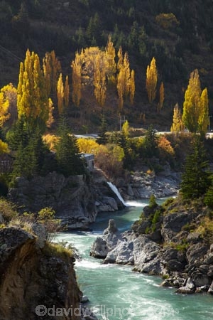 autuminal;autumn;autumn-colour;autumn-colours;autumnal;Central-Otago;color;colors;colour;colours;Cromwell;deciduous;electrical;electricity;electricity-generation;electricity-generators;energy;environment;environmental;fall;generate;generation;generator;generators;hydro;hydro-electricity;hydro-energy;hydro-generation;hydro-power;hydro-power-station;hydro-power-stations;industrial;industry;Kawarau-Gorge;Kawarau-River;leaf;leaves;meridian;N.Z.;national-grid;New-Zealand;NZ;Otago;poplar;poplars;power;power-generation;power-generators;power-plant;power-station;power-supply;Queenstown-Road;renewable-energies;renewable-energy;river;rivers;Roaring-Meg;Roaring-Meg-Power-Station;S.I.;season;seasonal;seasons;SI;South-Is;South-Island;sustainable-energies;sustainable-energy;technology;tree;trees;valley;valleys;willow;willows;yellow