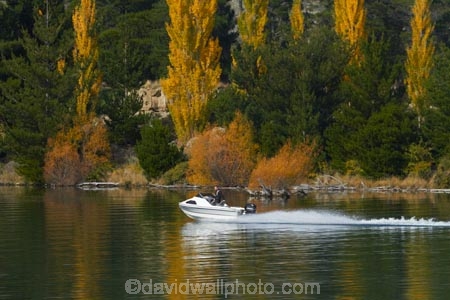 autuminal;autumn;autumn-colour;autumn-colours;autumnal;boat;boats;calm;Central-Otago;color;colors;colour;colours;conifer;conifers;Cornish-Point;Cromwell;deciduous;fall;Lake-Dunstan;leaf;leaves;N.Z.;New-Zealand;NZ;Otago;outboard;pine;pine-tree;pine-trees;pines;placid;pleasure-boat;pleasure-boats;pleasure-craft;pleasure-crafts;poplar;poplar-tree;poplar-trees;poplars;power-boat;power-boats;quiet;reflection;reflections;S.I.;season;seasonal;seasons;serene;SI;smooth;South-Is;South-Island;speed-boat;speed-boats;Sth-Is;still;tranquil;tree;trees;water