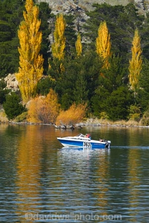 autuminal;autumn;autumn-colour;autumn-colours;autumnal;boat;boats;calm;Central-Otago;color;colors;colour;colours;conifer;conifers;Cornish-Point;Cromwell;deciduous;fall;Lake-Dunstan;leaf;leaves;N.Z.;New-Zealand;NZ;Otago;outboard;pine;pine-tree;pine-trees;pines;placid;pleasure-boat;pleasure-boats;pleasure-craft;pleasure-crafts;poplar;poplar-tree;poplar-trees;poplars;power-boat;power-boats;quiet;reflection;reflections;S.I.;season;seasonal;seasons;serene;SI;smooth;South-Is;South-Island;speed-boat;speed-boats;Sth-Is;still;tranquil;tree;trees;water