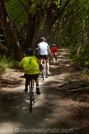 150th-Anniversary-track;Alexandra-_-Clyde-track;Alexandra-to-Clyde-track;bicycle;bicycles;bike;bikes;boy;boys;Central-Otago;child;children;Clutha-River-Track;Clyde-_-Alexandra-track;cycle;cycle-track;cycle-tracks;cycler;cyclers;cycles;cycleway;cycleways;cyclist;cyclists;girl;girls;mountain-bike;mountain-biker;mountain-bikers;mountain-bikes;mtn-bike;mtn-biker;mtn-bikers;mtn-bikes;N.Z.;New-Zealand;NZ;Otago;people;person;push-bike;push-bikes;push_bike;push_bikes;pushbike;pushbikes;recreation;S.I.;SI;South-Is;South-Island;Sth-Is;willow;willow-tree;willow-trees;willows