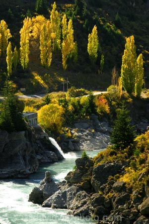 Autumn;central-otago;colour;Cromwell;fall;generate;generation;hydro;hydro-electricity;Kawarau-Gorge;Kawarau-River;New-Zealand;poplar;poplars;power-station;Queenstown-Road;river;rivers;roaring-meg;season;seasonal;seasons;South-Island;tree;trees;valley;valleys;willow;willows;yellow