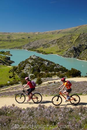 bicycle;bicycles;bike;bike-track;bike-tracks;bike-trail;bike-trails;bikes;Central-Otago;child;children;cycle;cycle-track;cycle-tracks;cycle-trail;cycle-trails;cycler;cyclers;cycles;cyclist;cyclists;families;family;lake;Lake-Roxburgh;lakes;mountain-bike;mountain-biker;mountain-bikers;mountain-bikes;mtn-bike;mtn-biker;mtn-bikers;mtn-bikes;N.Z.;New-Zealand;NZ;Otago;people;person;push-bike;push-bikes;push_bike;push_bikes;pushbike;pushbikes;Roxburgh;Roxburgh-Cycle-Track;Roxburgh-Cycle-Trail;Roxburgh-Gorge;Roxburgh-Gorge-Cycle-and-Walking-Trail;Roxburgh-Gorge-Cycle-Track;Roxburgh-Gorge-Cycle-Trail;Roxburgh-Gorge-Track;Roxburgh-Gorge-Trail;Roxburgh-Gorge-Walking-and-Cycle-Trail;S.I.;season;seasonal;seasons;SI;South-Is;South-Island;spring;spring-time;Sth-is;thyme;thyme-in-flower;tourism;tourist;tourists;violet;wild-thyme