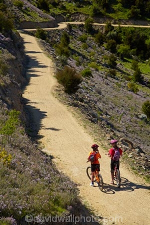 bicycle;bicycles;bike;bike-track;bike-tracks;bike-trail;bike-trails;bikes;Central-Otago;child;children;cycle;cycle-track;cycle-tracks;cycle-trail;cycle-trails;cycler;cyclers;cycles;cyclist;cyclists;families;family;mountain-bike;mountain-biker;mountain-bikers;mountain-bikes;mtn-bike;mtn-biker;mtn-bikers;mtn-bikes;N.Z.;New-Zealand;NZ;Otago;people;person;push-bike;push-bikes;push_bike;push_bikes;pushbike;pushbikes;Roxburgh;Roxburgh-Cycle-Track;Roxburgh-Cycle-Trail;Roxburgh-Gorge;Roxburgh-Gorge-Cycle-and-Walking-Trail;Roxburgh-Gorge-Cycle-Track;Roxburgh-Gorge-Cycle-Trail;Roxburgh-Gorge-Track;Roxburgh-Gorge-Trail;Roxburgh-Gorge-Walking-and-Cycle-Trail;S.I.;season;seasonal;seasons;SI;South-Is;South-Island;spring;spring-time;Sth-is;thyme;thyme-in-flower;tourism;tourist;tourists;violet;wild-thyme